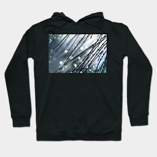 Morning Blues Hoodie